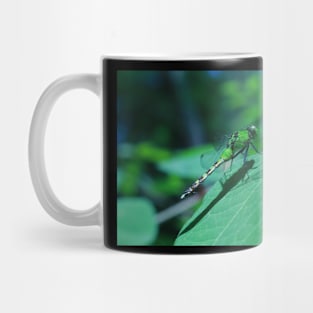 Green Dragonfly Resting on a Leaf Mug